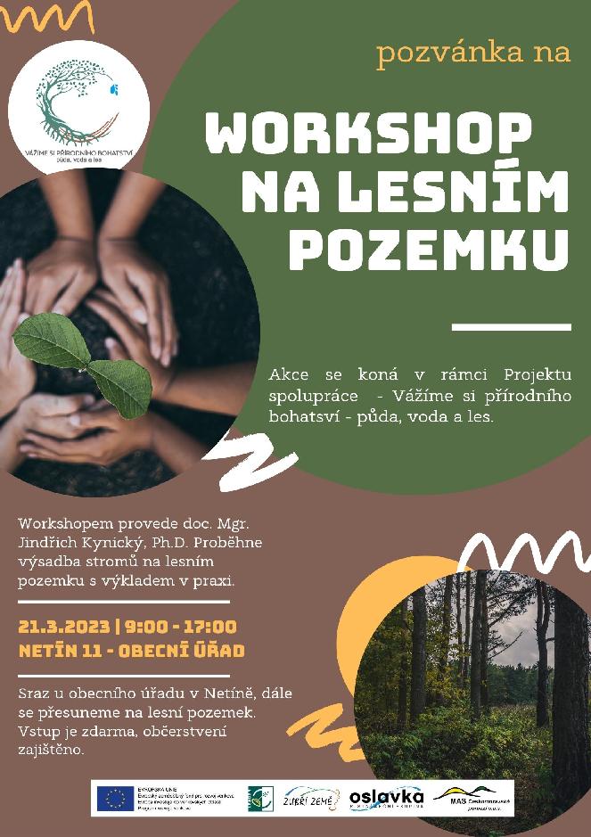 Workshop na lesním pozemku